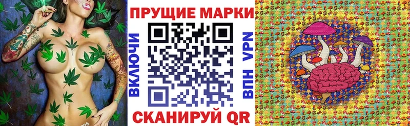дарнет шоп  Александровск-Сахалинский  Марки N-bome 1500мкг 